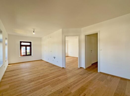 Wohnen im Rieschen – Top 10